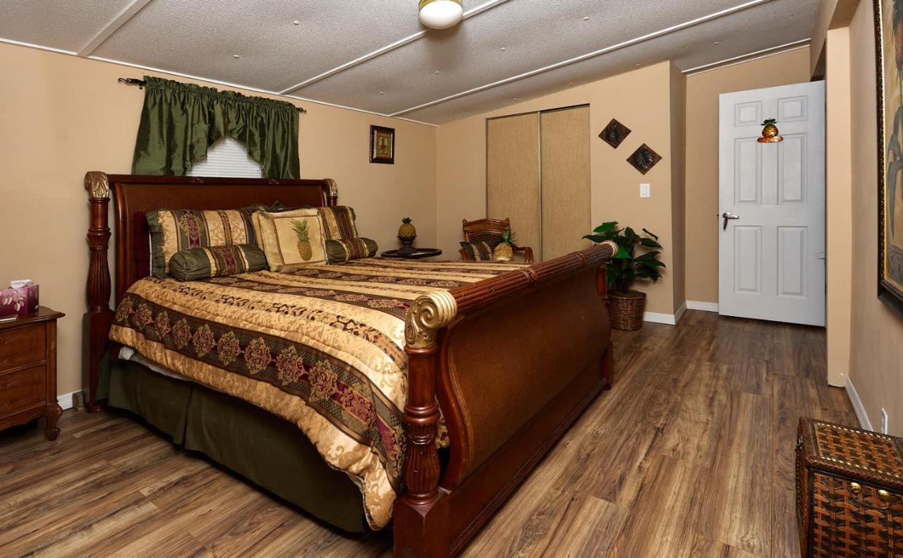 Room In Bb - Pleasant Days Bb Tropical Master Suite Homosassa Exteriér fotografie